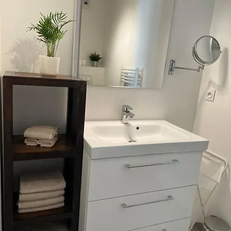 Tres Joli 2 Pieces Calme Ensoleille Avec Piscine Nice