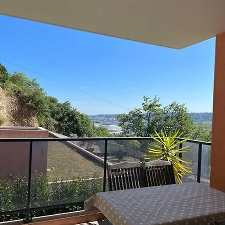 Apartment Tres Joli 2 Pieces Calme Ensoleille Avec Piscine Nice